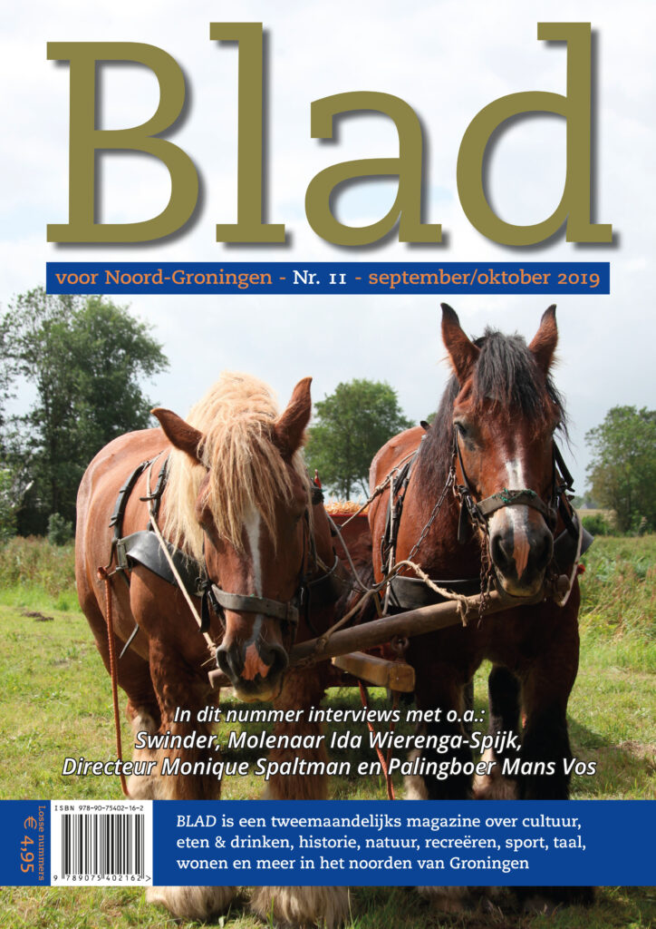 Cover Blad 11