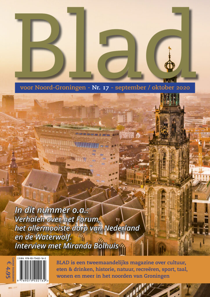 Cover Blad 17
