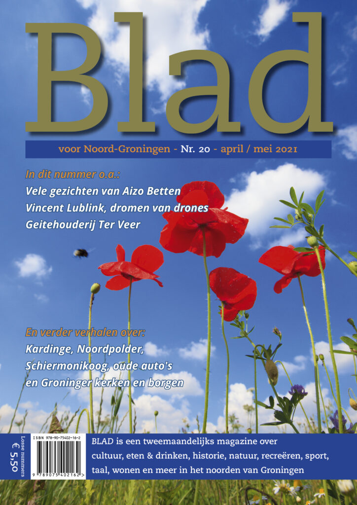Cover Blad 20