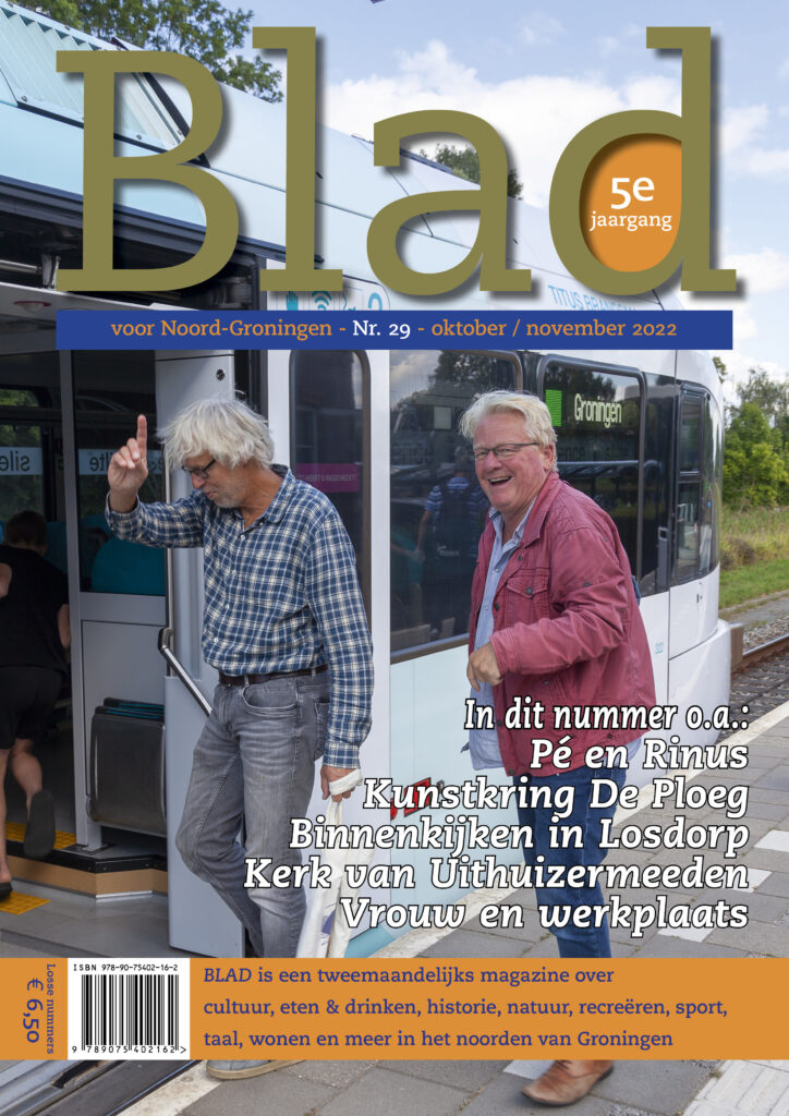 Cover Blad 29