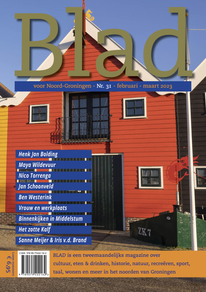Cover Blad 31