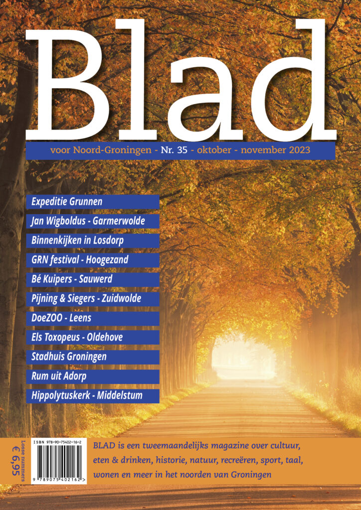Cover Blad 35