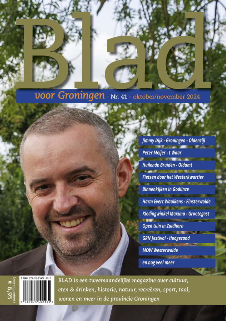 Cover Blad 41