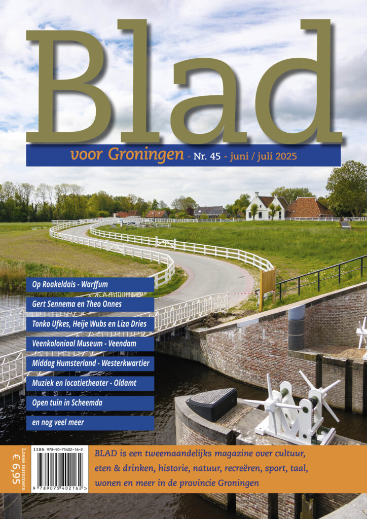 Cover Blad 45